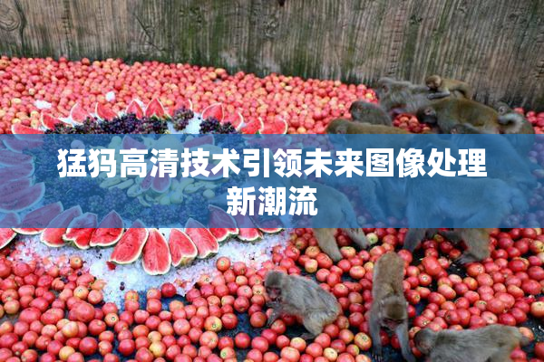 猛犸高清技术引领未来图像处理新潮流