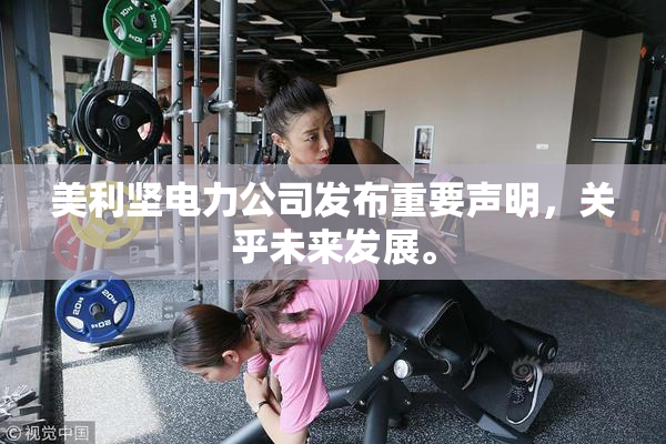 美利坚电力公司发布重要声明，关乎未来发展。