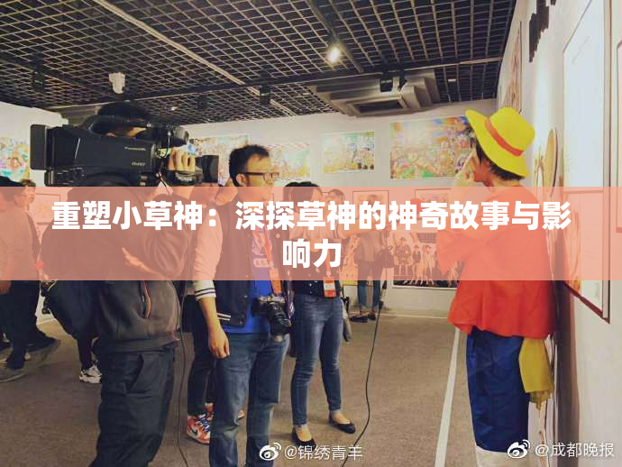 重塑小草神：深探草神的神奇故事与影响力