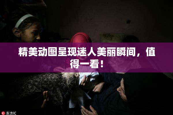 精美动图呈现迷人美丽瞬间，值得一看！