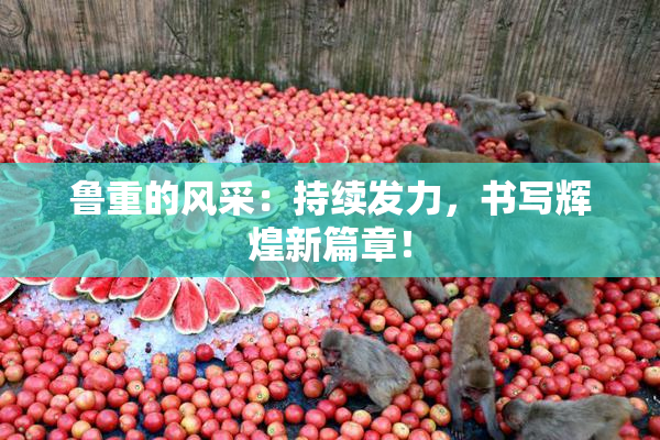 鲁重的风采：持续发力，书写辉煌新篇章！