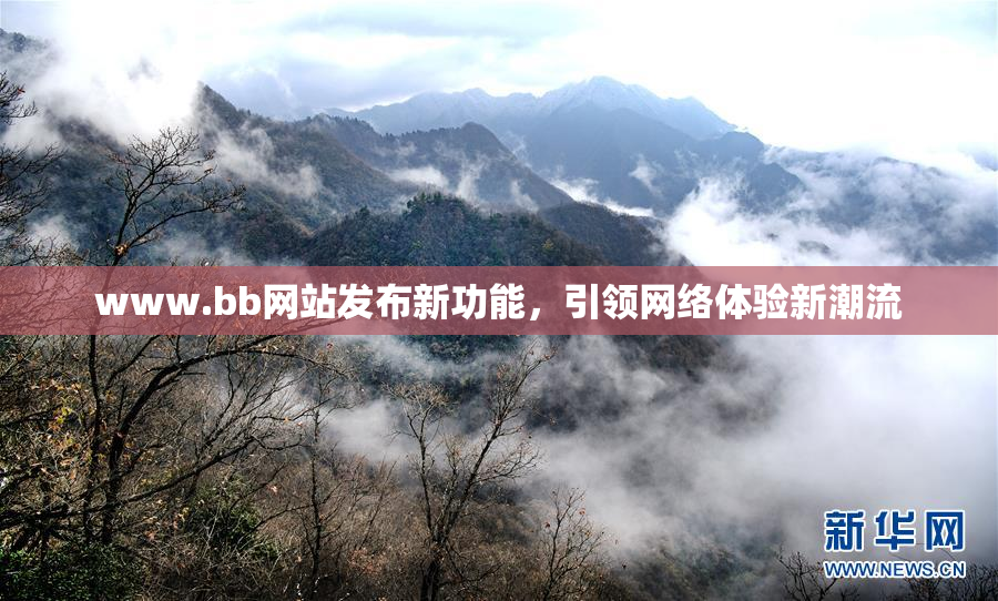 www.bb网站发布新功能，引领网络体验新潮流