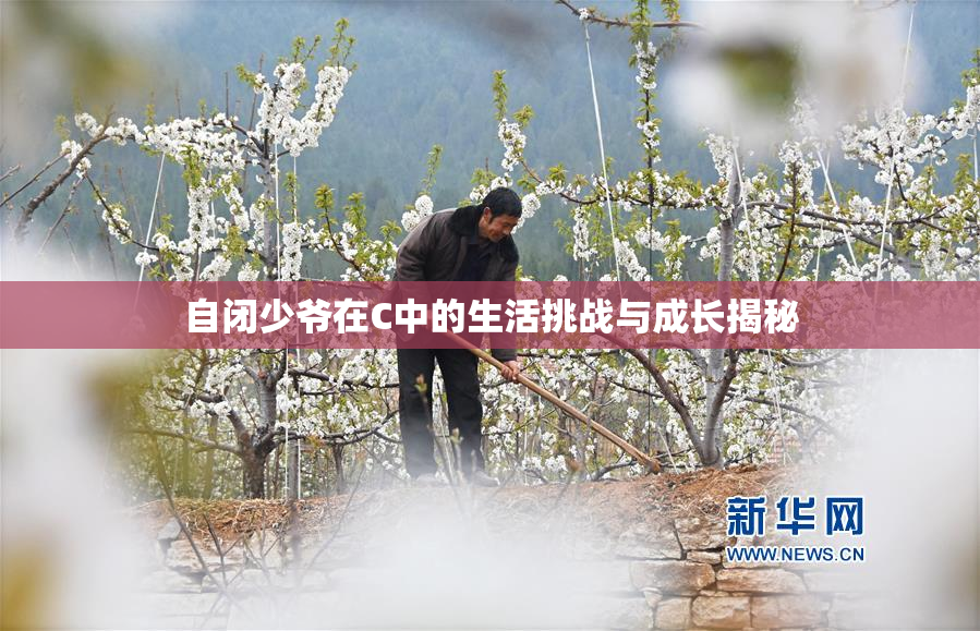 自闭少爷在C中的生活挑战与成长揭秘