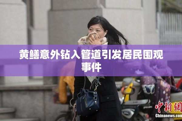 黄鳝意外钻入管道引发居民围观事件