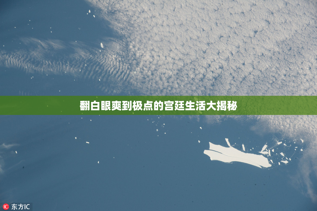翻白眼爽到极点的宫廷生活大揭秘