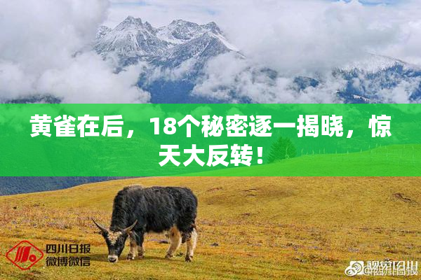 黄雀在后，18个秘密逐一揭晓，惊天大反转！