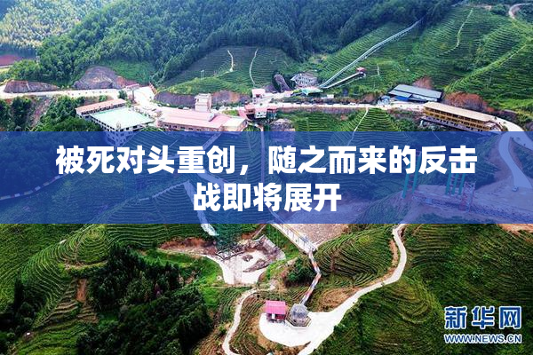 被死对头重创，随之而来的反击战即将展开