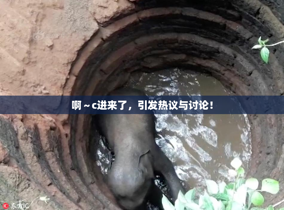 啊～c进来了，引发热议与讨论！