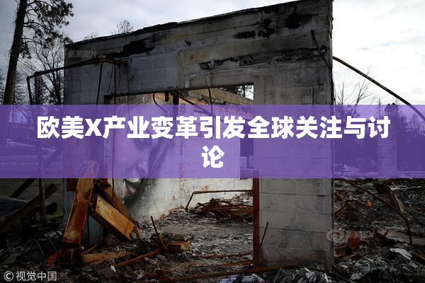 欧美X产业变革引发全球关注与讨论