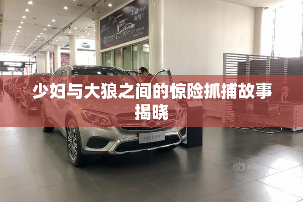 少妇与大狼之间的惊险抓捕故事揭晓