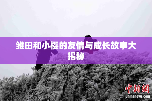 雏田和小樱的友情与成长故事大揭秘