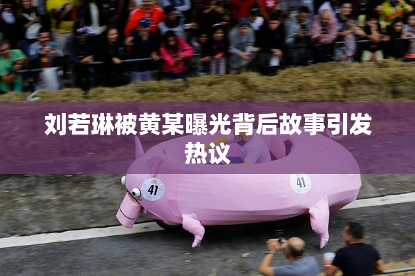 刘若琳被黄某曝光背后故事引发热议