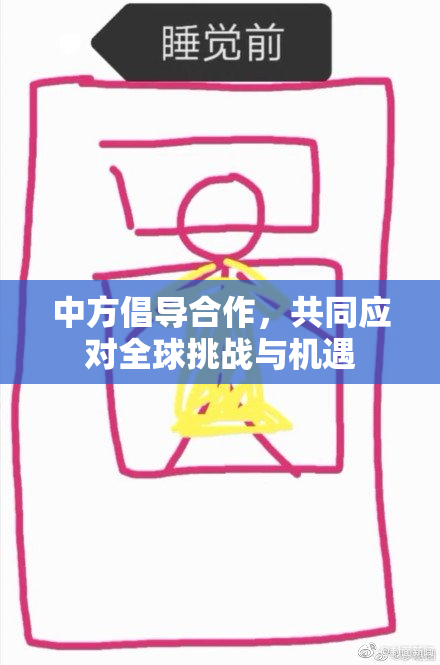 中方倡导合作，共同应对全球挑战与机遇