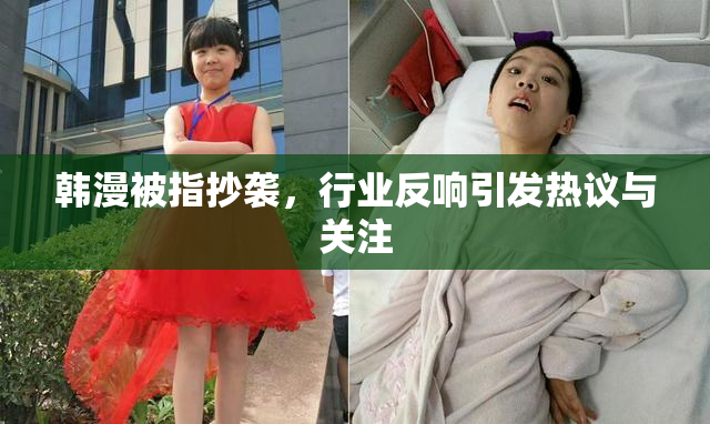 韩漫被指抄袭，行业反响引发热议与关注