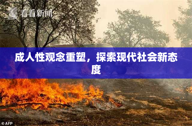 成人性观念重塑，探索现代社会新态度