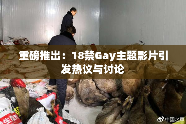 重磅推出：18禁Gay主题影片引发热议与讨论