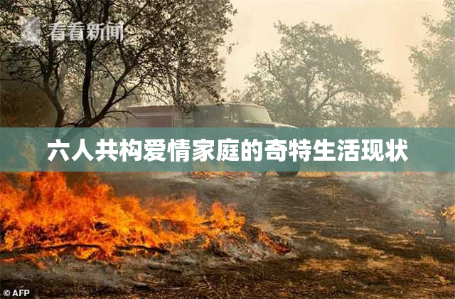 六人共构爱情家庭的奇特生活现状