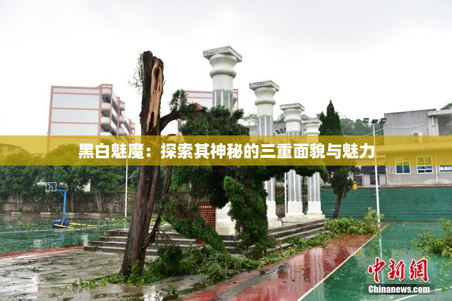 黑白魅魔：探索其神秘的三重面貌与魅力