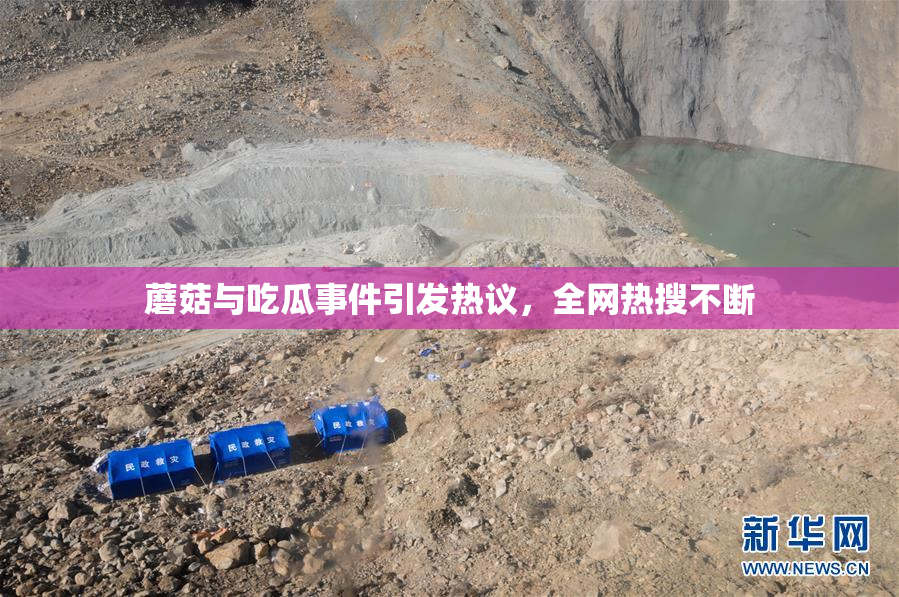 蘑菇与吃瓜事件引发热议，全网热搜不断