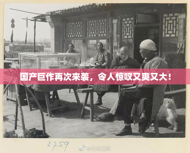 国产巨作再次来袭，令人惊叹又爽又大！