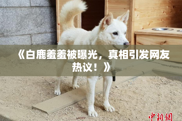《白鹿羞羞被曝光，真相引发网友热议！》