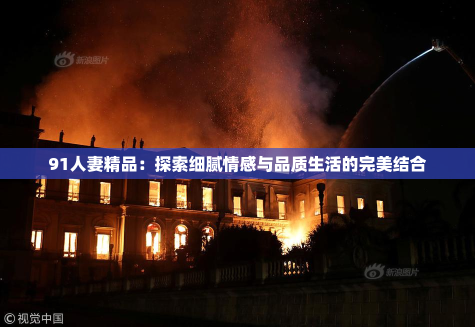 91人妻精品：探索细腻情感与品质生活的完美结合