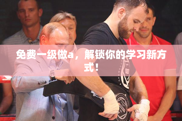 免费一级做a，解锁你的学习新方式！