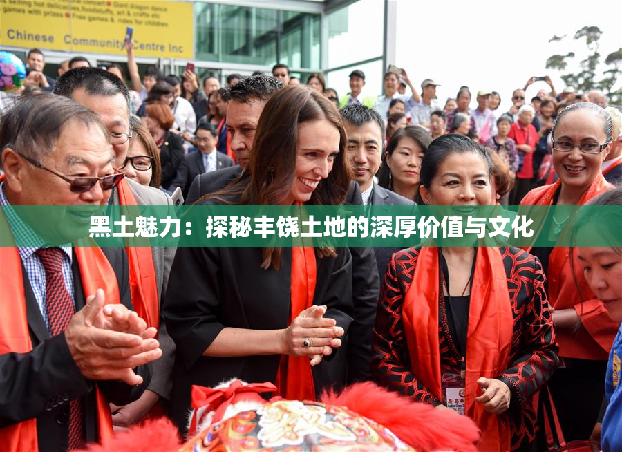 黑土魅力：探秘丰饶土地的深厚价值与文化