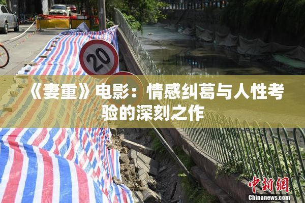 《妻重》电影：情感纠葛与人性考验的深刻之作