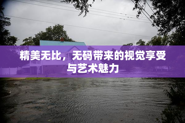 精美无比，无码带来的视觉享受与艺术魅力
