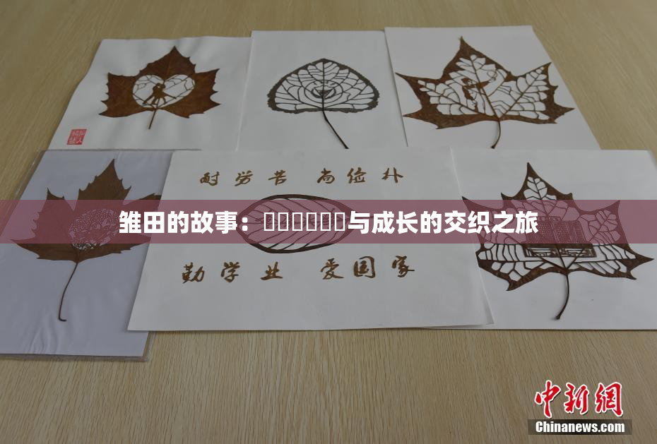 雏田的故事：❌‌❌‌❌‌与成长的交织之旅
