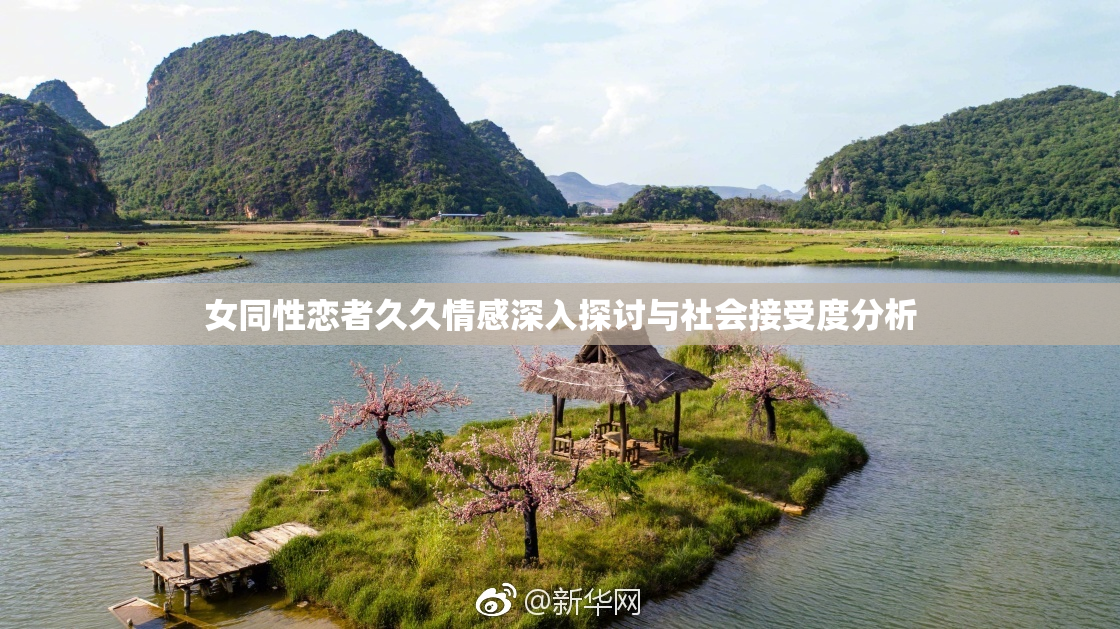女同性恋者久久情感深入探讨与社会接受度分析