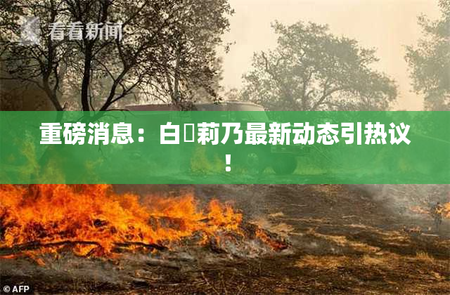 重磅消息：白咲莉乃最新动态引热议！
