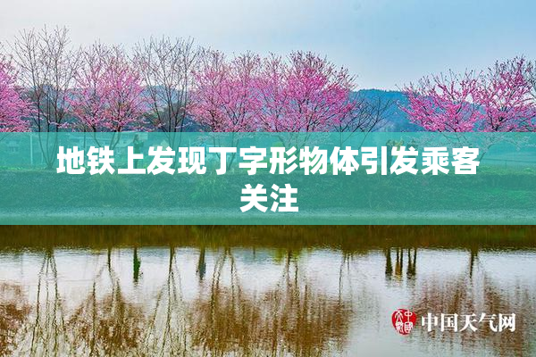地铁上发现丁字形物体引发乘客关注