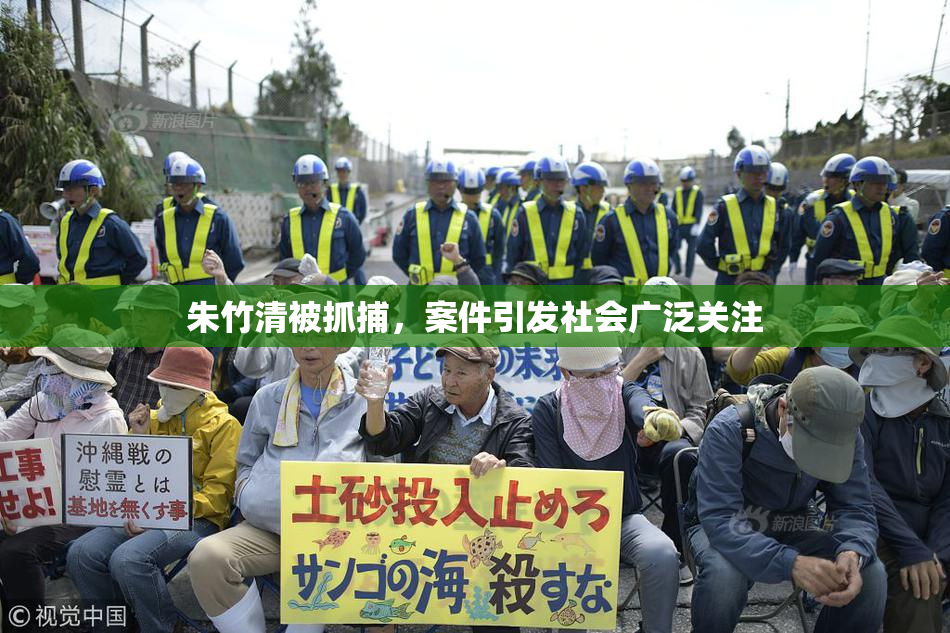 朱竹清被抓捕，案件引发社会广泛关注