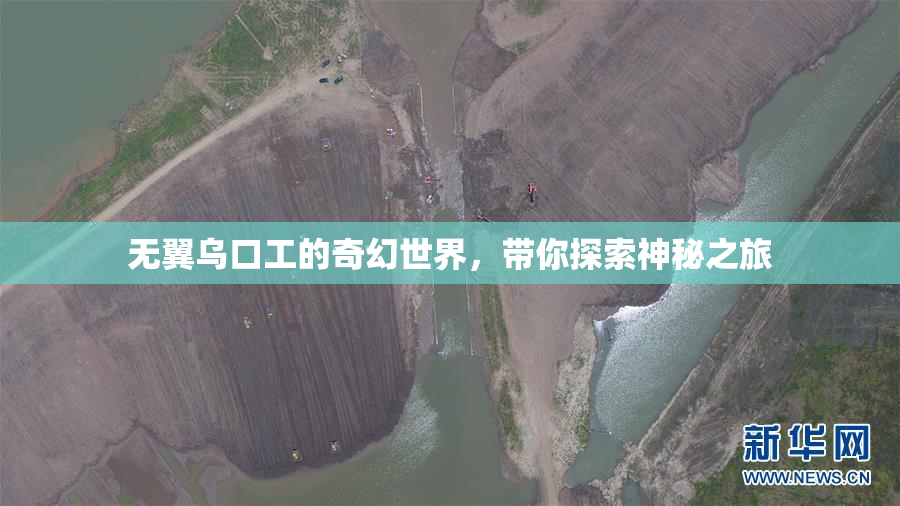 无翼乌口工的奇幻世界，带你探索神秘之旅
