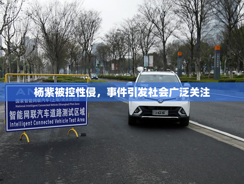 杨紫被控性侵，事件引发社会广泛关注