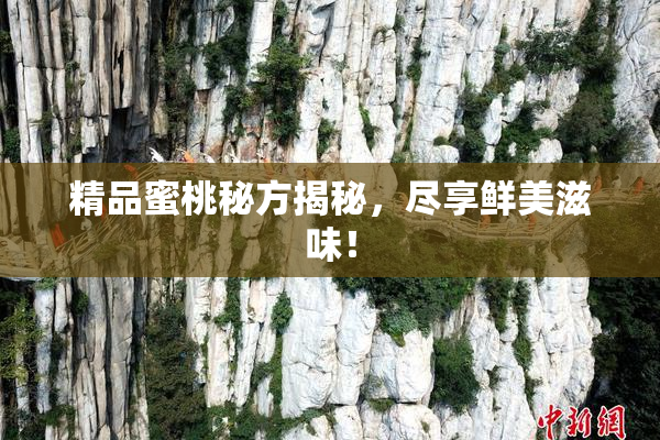 精品蜜桃秘方揭秘，尽享鲜美滋味！