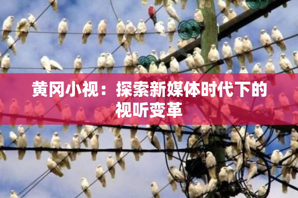 黄冈小视：探索新媒体时代下的视听变革