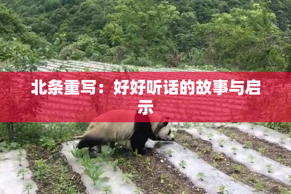 北条重写：好好听话的故事与启示