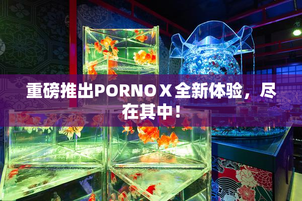 重磅推出PORNOⅩ全新体验，尽在其中！