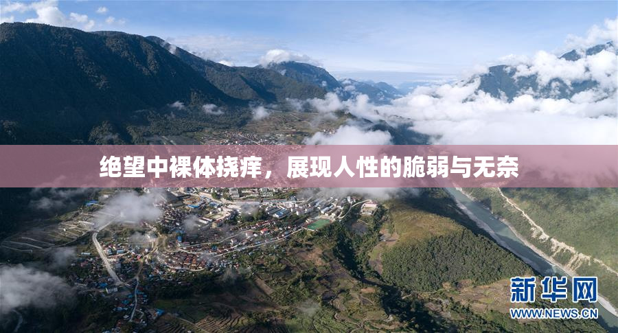 绝望中裸体挠痒，展现人性的脆弱与无奈