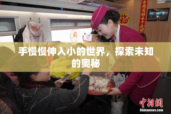 手慢慢伸入小的世界，探索未知的奥秘
