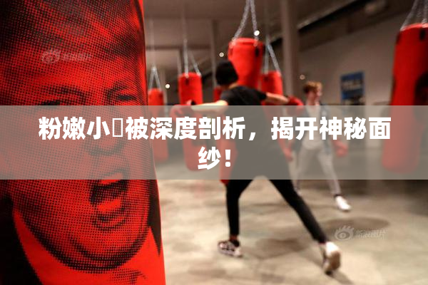 粉嫩小泬被深度剖析，揭开神秘面纱！