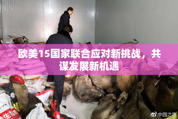 欧美15国家联合应对新挑战，共谋发展新机遇