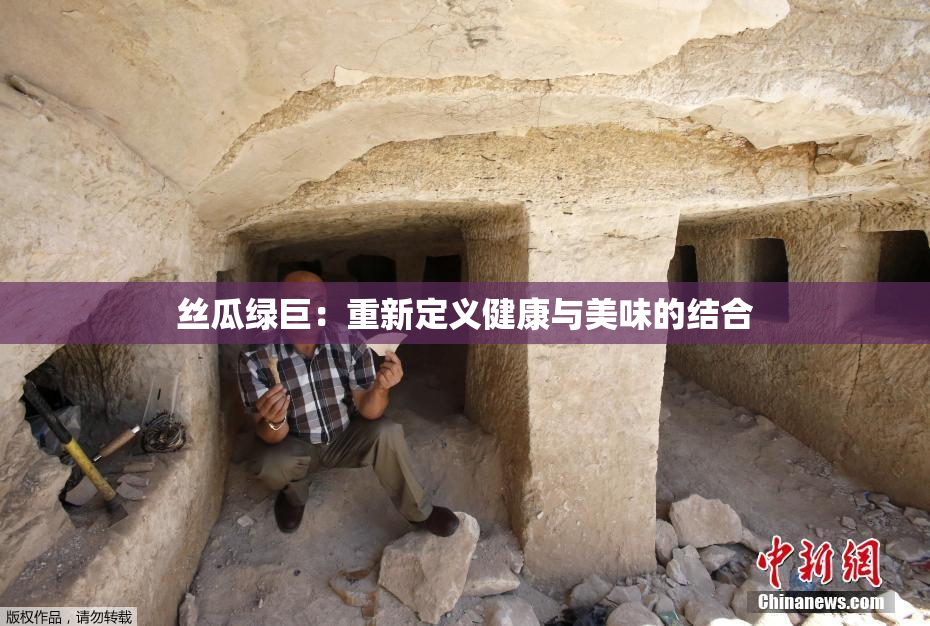 丝瓜绿巨：重新定义健康与美味的结合