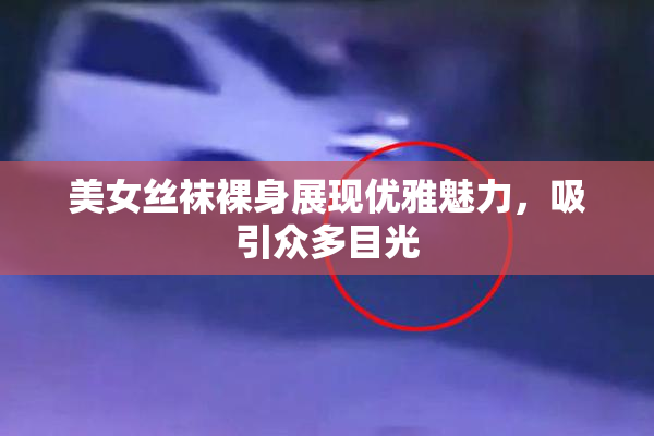 美女丝袜裸身展现优雅魅力，吸引众多目光