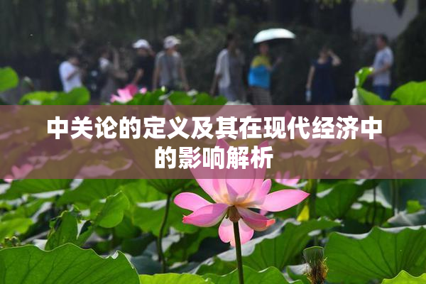 中关论的定义及其在现代经济中的影响解析