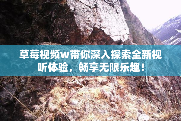 草莓视频w带你深入探索全新视听体验，畅享无限乐趣！
