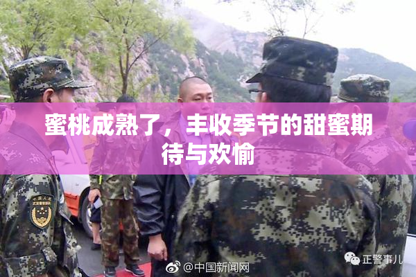 蜜桃成熟了，丰收季节的甜蜜期待与欢愉